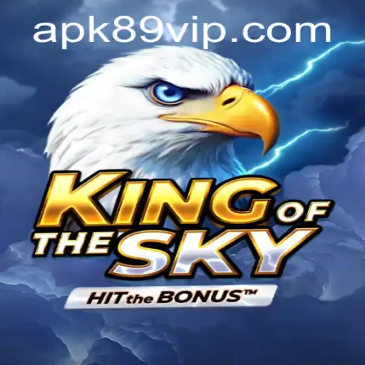 KingOfTheSky: The Ultimate Aerial Battle Experience